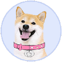 DogeGF (DOGEGF)