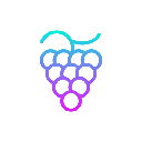 Grape Network (GRAPE)