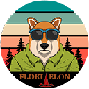 Floki Elon (FLOKIELON)