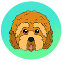 Cockapoo (CPOO)