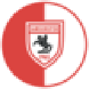 Samsunspor Fan Token (SAM)