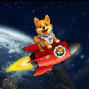 Starship Doge (STARSHIPDOGE)