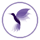 Hummingbird Finance (New) (HMNG)