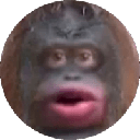 Monkecoin (MONKE)