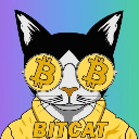 Bitcat (BITCAT)