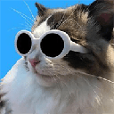 coolcat (COOL)