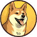 Dogecoin20 (DOGE20)