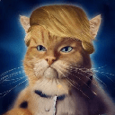 TRUMP CAT (TRUMPCAT)