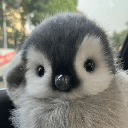 Peanie (PEANIE)