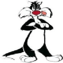 CAT SYLVESTER (CAT)