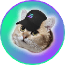 CatSolHat (SOLCAT)