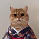 Cat Own Kimono (COK)