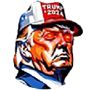 Save America (USA)