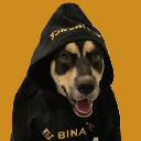 BNBDOG (BNBDOG)