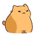 bichi mao (BICHI)