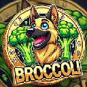 BROCCOLI (FirstBroccoli on BNB) (BROCCOLI)
