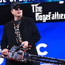 The Dogefather (DOGEFATHER)