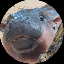Moo Deng (MooDengBase) (MOODENG)
