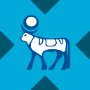 Novo Nordisk tokenized stock (xStock) (NVOX)