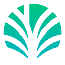 Palm Economy (PALM)