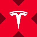 Wrapped Tesla Tokenized stock (xStock) (WTSLAX)