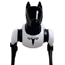 Tesla Dog (DOGIMUS)