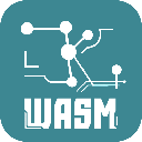 ZKWASM (ZKWASM)