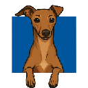 Cosmo (COSMO)