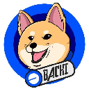 Bachi on Base (BACHI)