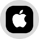 Apple Tokenized Stock (Ondo) (AAPLon)