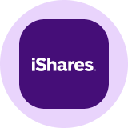 iShares Core S&P 500 Tokenized ETF (Ondo) (IVVon)