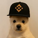 PUP (pupxbnb.com) (PUP)