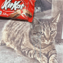 Remember KitKat (KITKAT)