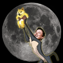 DOGE TO MOON (dogemoons.fun) (DOGEMOON)