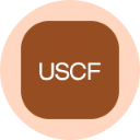 US Natural Gas Fund Tokenized Stock (Ondo) (UNGon)