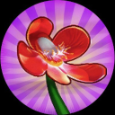 Solitaire Blossom (SOLIB)