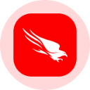 CrowdStrike Holdings Inc (Derivatives) (CRWD)
