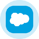 Salesforce Inc (Derivatives) (CRM)
