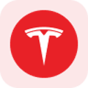 Tesla Tokenized Stock (Reality) (rTSLA)
