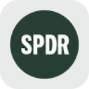 SPDR S&P 500 Tokenized Stock (Reality) (rSPY)