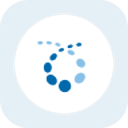 Credo Technology Tokenized Stock (Reality) (rCRDO)