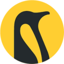 Penguin Solutions Inc (Derivatives) (PENG)