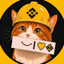 Binance Cat (binance-cat.com) (BNBCAT)