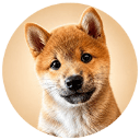 MEEKO (MEEKO)