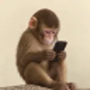 apeonfone (FONE)