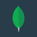 Mongodb Inc (Derivatives) (MDB)
