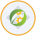 BNB Standard Corporation Tokenized bStocks (BNCB)