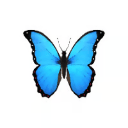 [COMMUNITY] FLAP (FLAP)