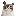 Grumpy Cat (grumpycatspl.com)