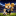 WCDOGE